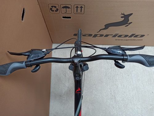 Capriolo Roadster Man 1.0 férfi trekking kerékpár 20" Grafit-Kék
