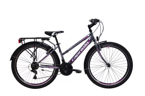 Capriolo Passion Lady 26" Női MTB kerékpár 15" Grafit-Lila 