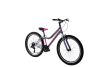 Capriolo Diavolo 400 24" férfi MTB kerékpár Grafit-Rózsaszín 2025