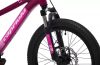 Capriolo LC KID 200 20" gyerek kerékpár Pink