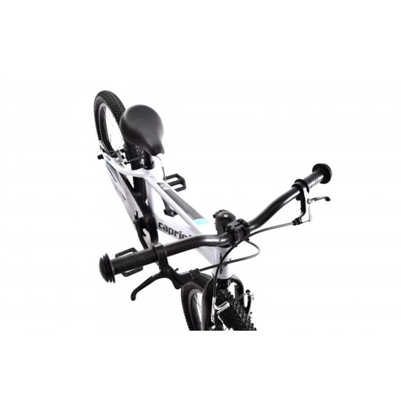 Capriolo LC KID 18" hátra tekerhető gyerek kerékpár Szürke