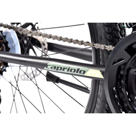 Capriolo CTX 240 24" gyerek kerékpár Fekete-Zöld