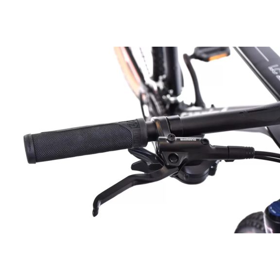 Capriolo MTB LC 29-3 29er kerékpár 19" Fekete-Ezüst