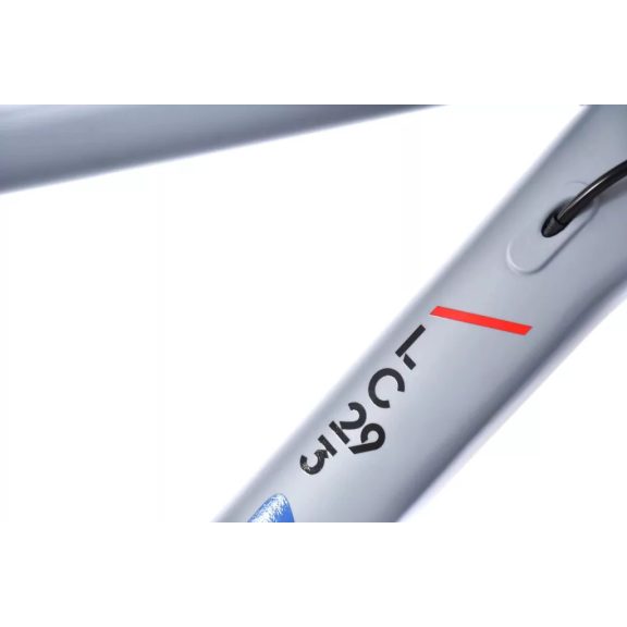 Capriolo MTB LC 29-3 29er kerékpár 21" Szürke