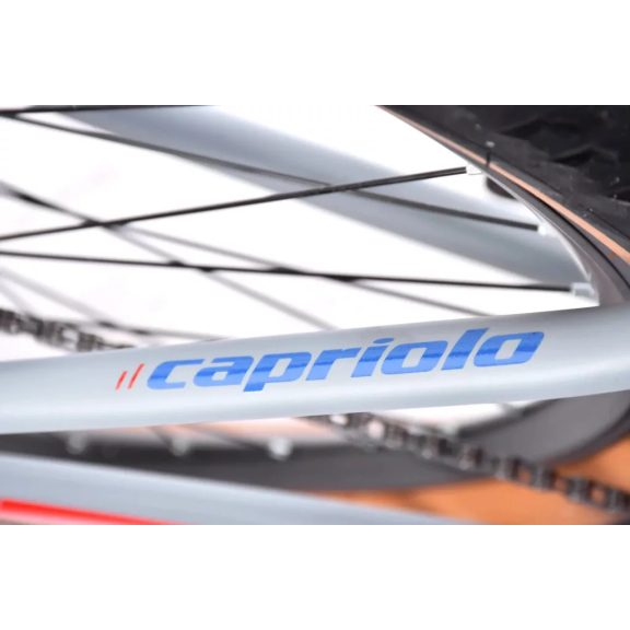 Capriolo MTB LC 29-3 29er kerékpár 21" Szürke